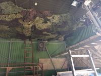 IMG_20240224_153738 (1024x768).jpg